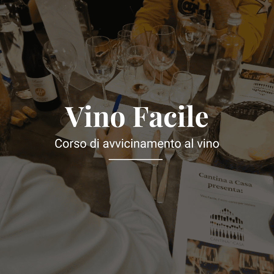 Vino Facile: corso di degustazione vino in Piemonte