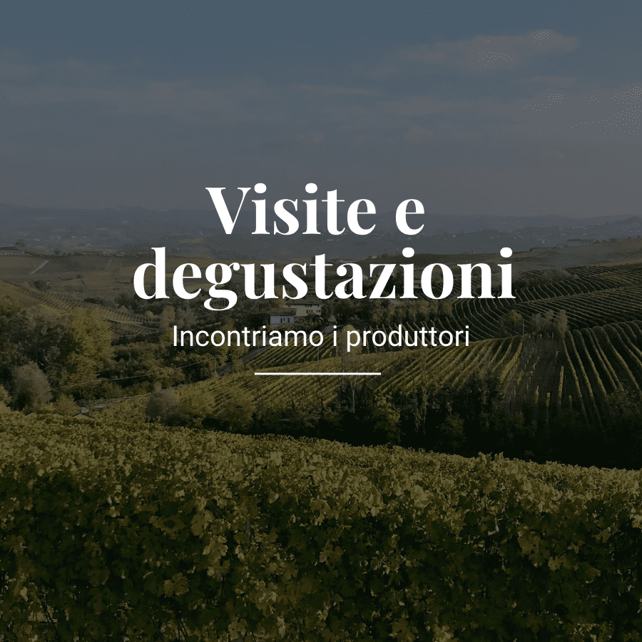 visite e degustazioni in Piemonte